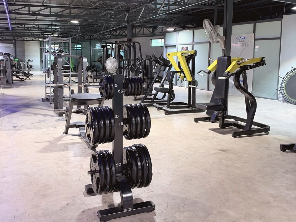 Weight plate tree in the middle of the gym, with machines behind